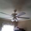 Ceiling Fan Installations